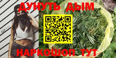 дмт Нальчик