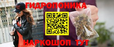 дмт Нальчик