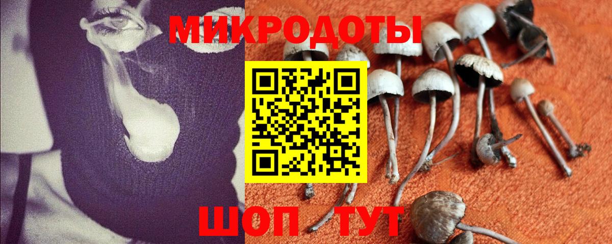 Уварово  Галлюциногенные грибы Psilocybine cubensis  Псилоцибиновые грибы GOLDEN TEACHER  Вход с VPN 
